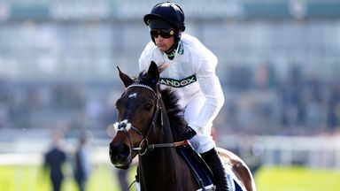 Constitution Hill will not run in the Champion Hurdle