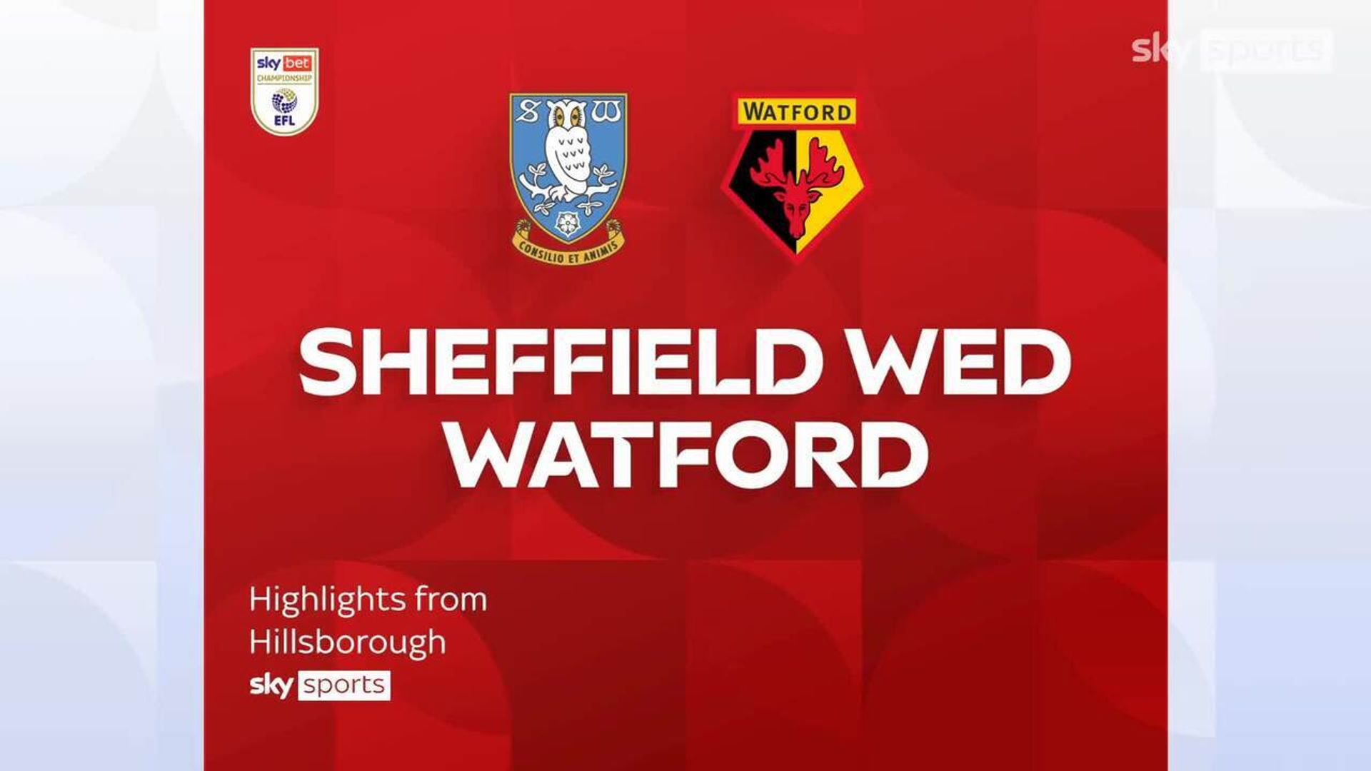 Sheffield Wednesday 1-1 Watford