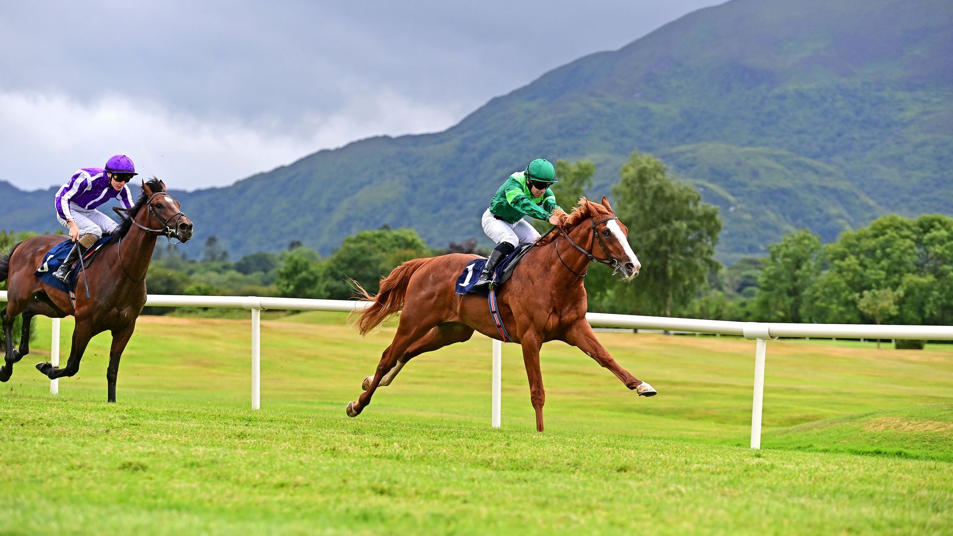 Derby favourite Benvenuto Cellini headlines Chester Vase clash