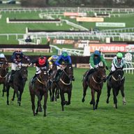 The Cheltenham Festival enters its final day on Friday