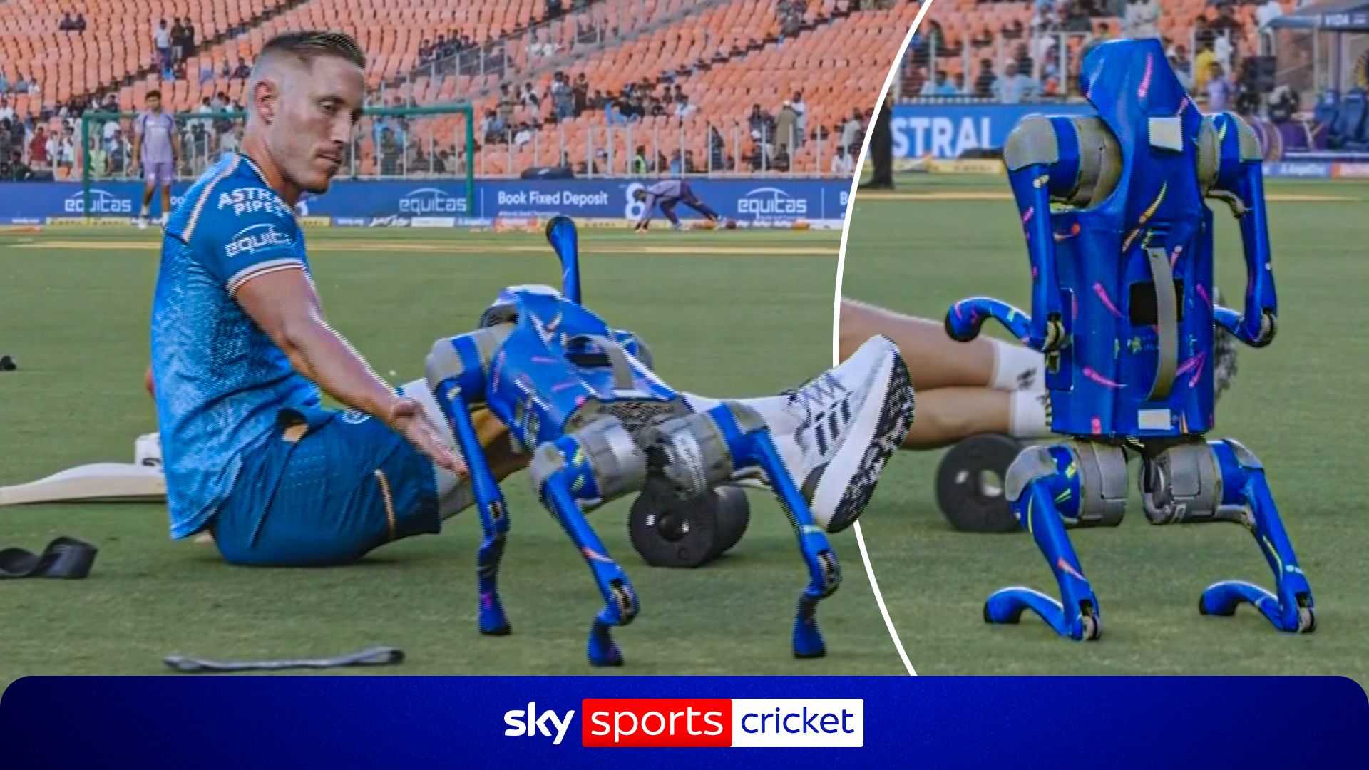 When technology meets cricket |  Meet the IPL’s robo dog!