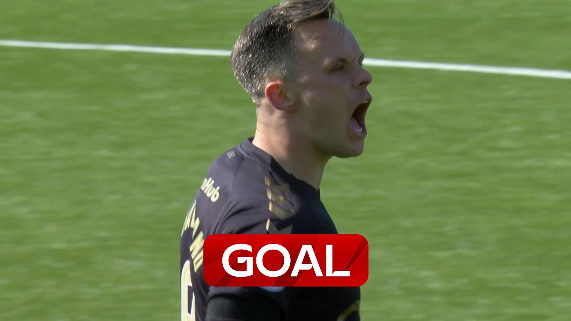 Shankland heads Hearts level!