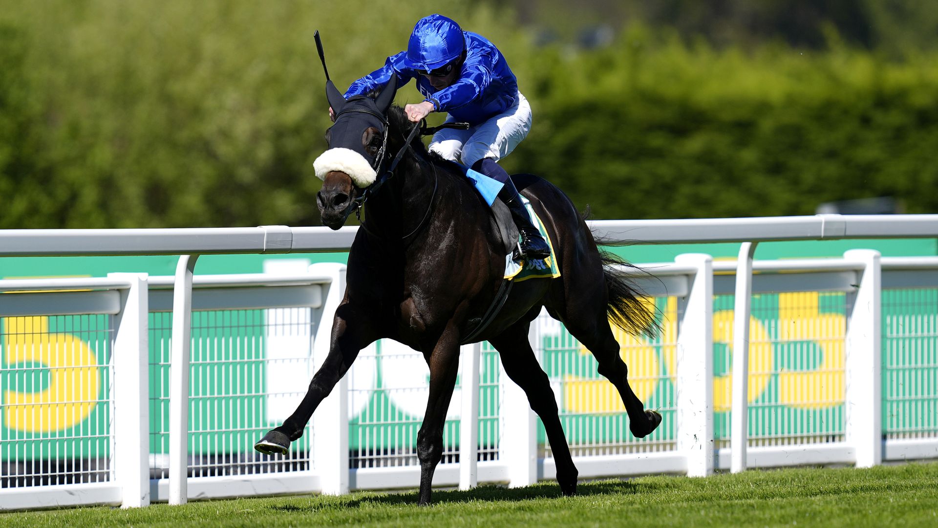 Opera Ballo makes all to thwart Field Of Gold at Sandown