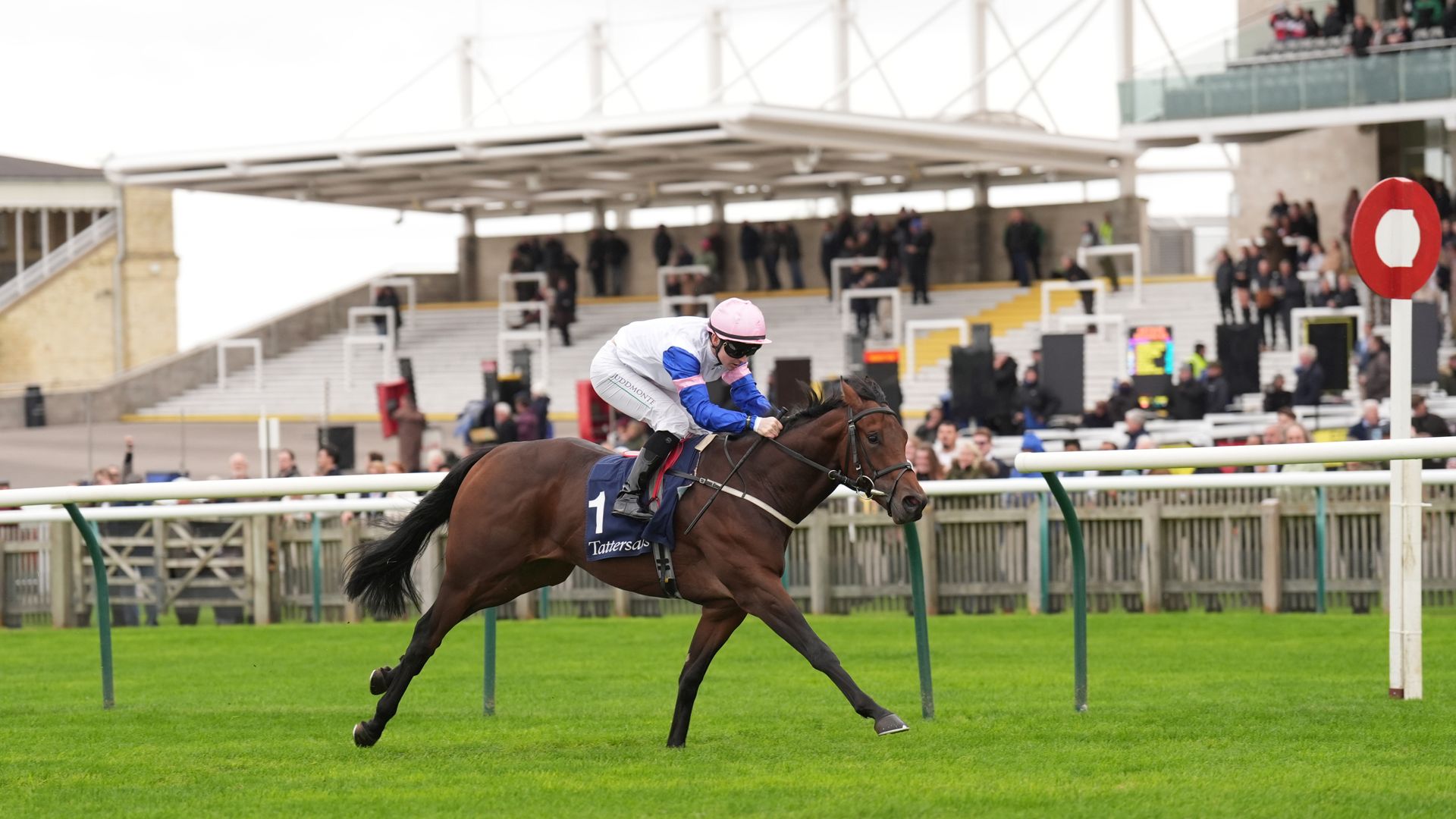 Today on Sky Sports Racing: Windsor, Newbury, Lingfield and Wolverhampton feature