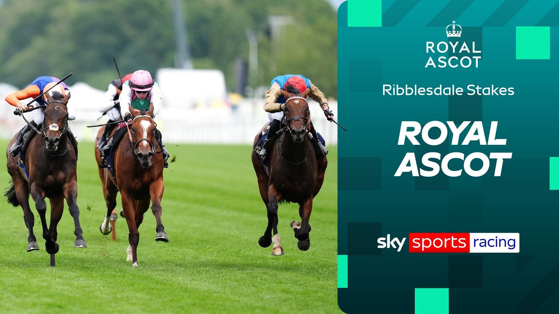 Tam yarış tekrarı | Ribblesdale Stakes'te son dönem draması!