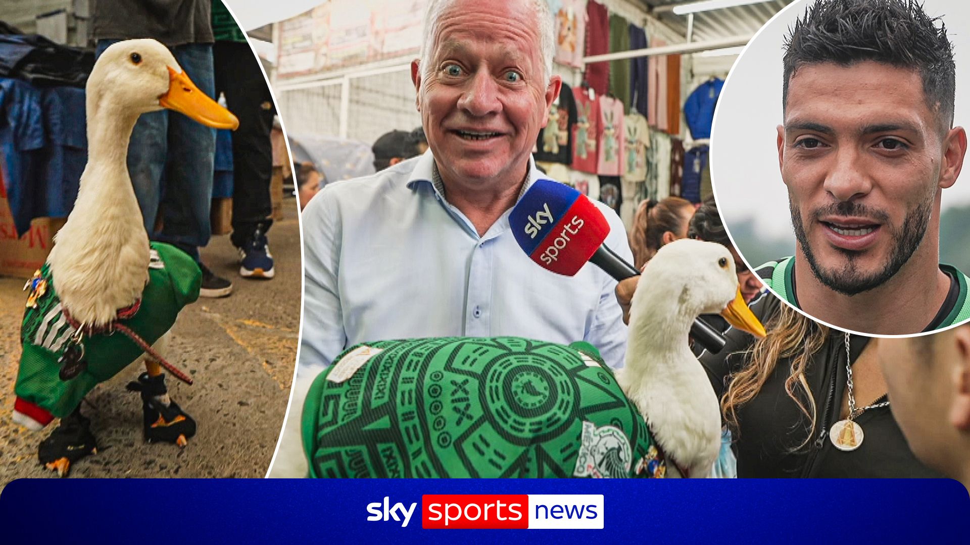 Weather fit for ducks! Mexico players - and mascot - ready for England test