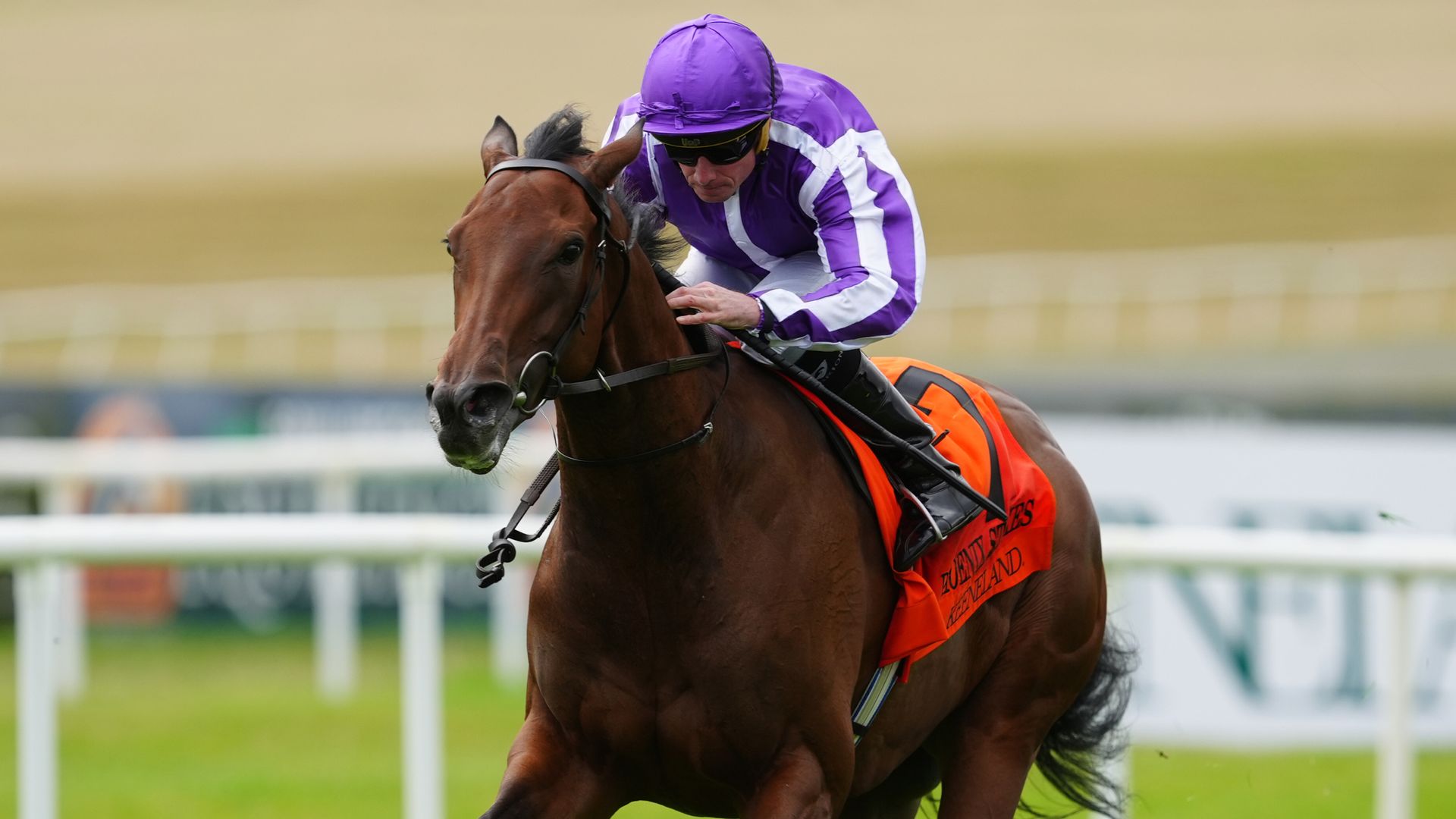 'Exciting' Sun Goddess looks the part in Phoenix Stakes