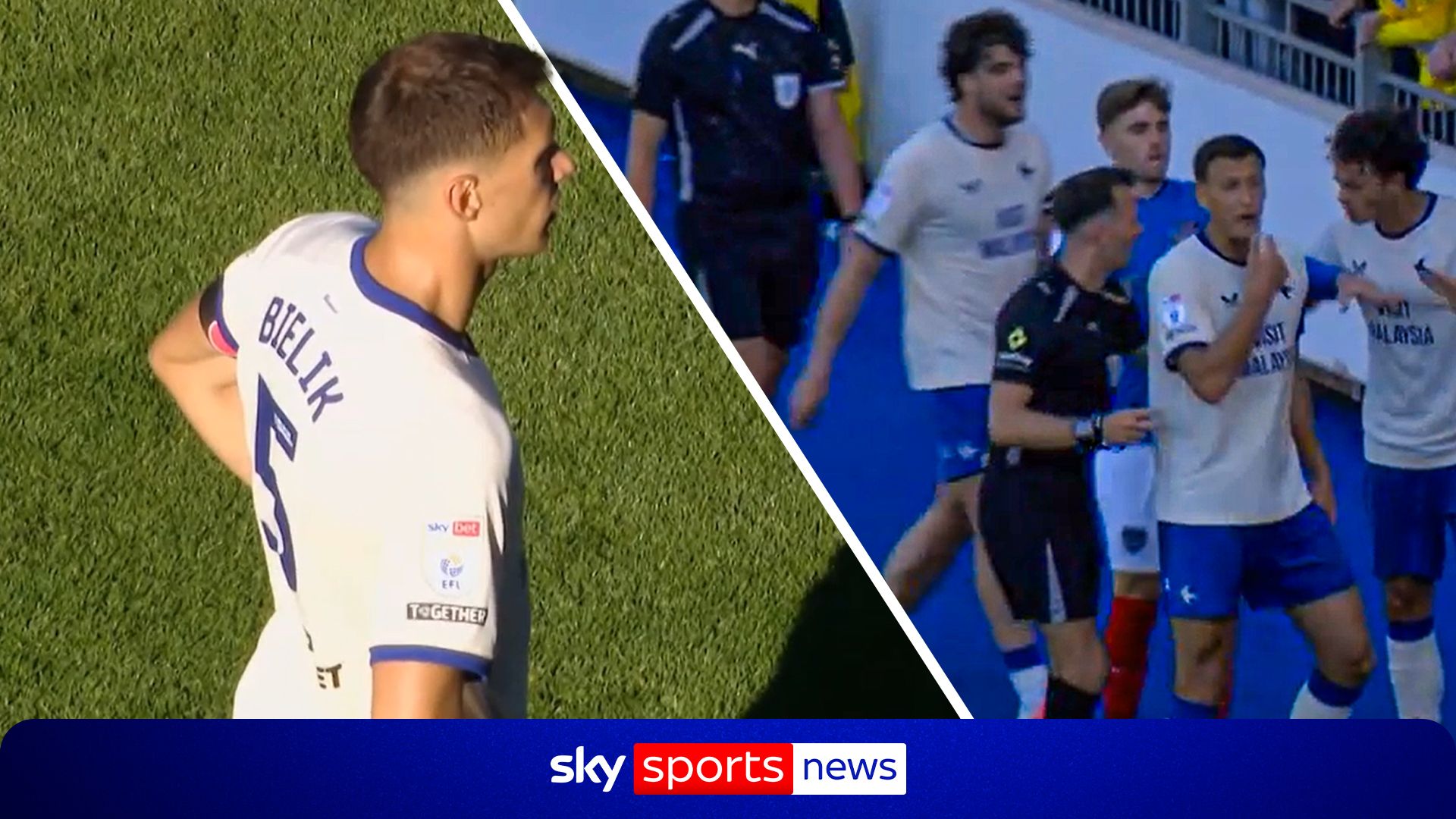Championship game halted as Cardiff's Bielik involved in incident with Portsmouth fan