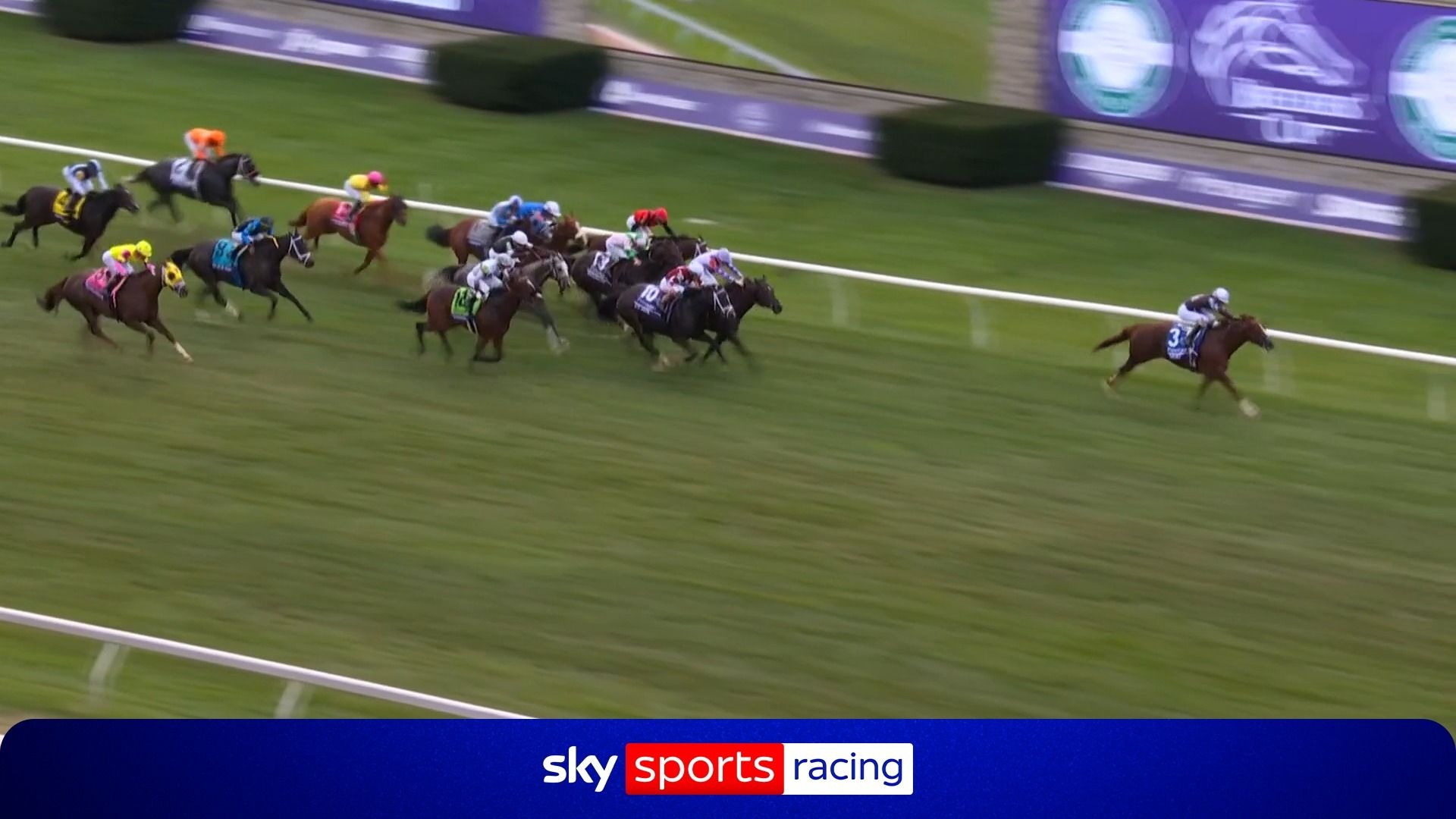 Watch: Bacio scorches the turf at the Breeders' Cup!