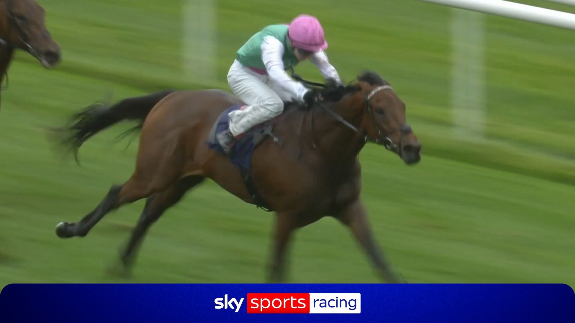 A star of the future? 🌟 | Watch Enable's son Entrust impress on debut at Donny...