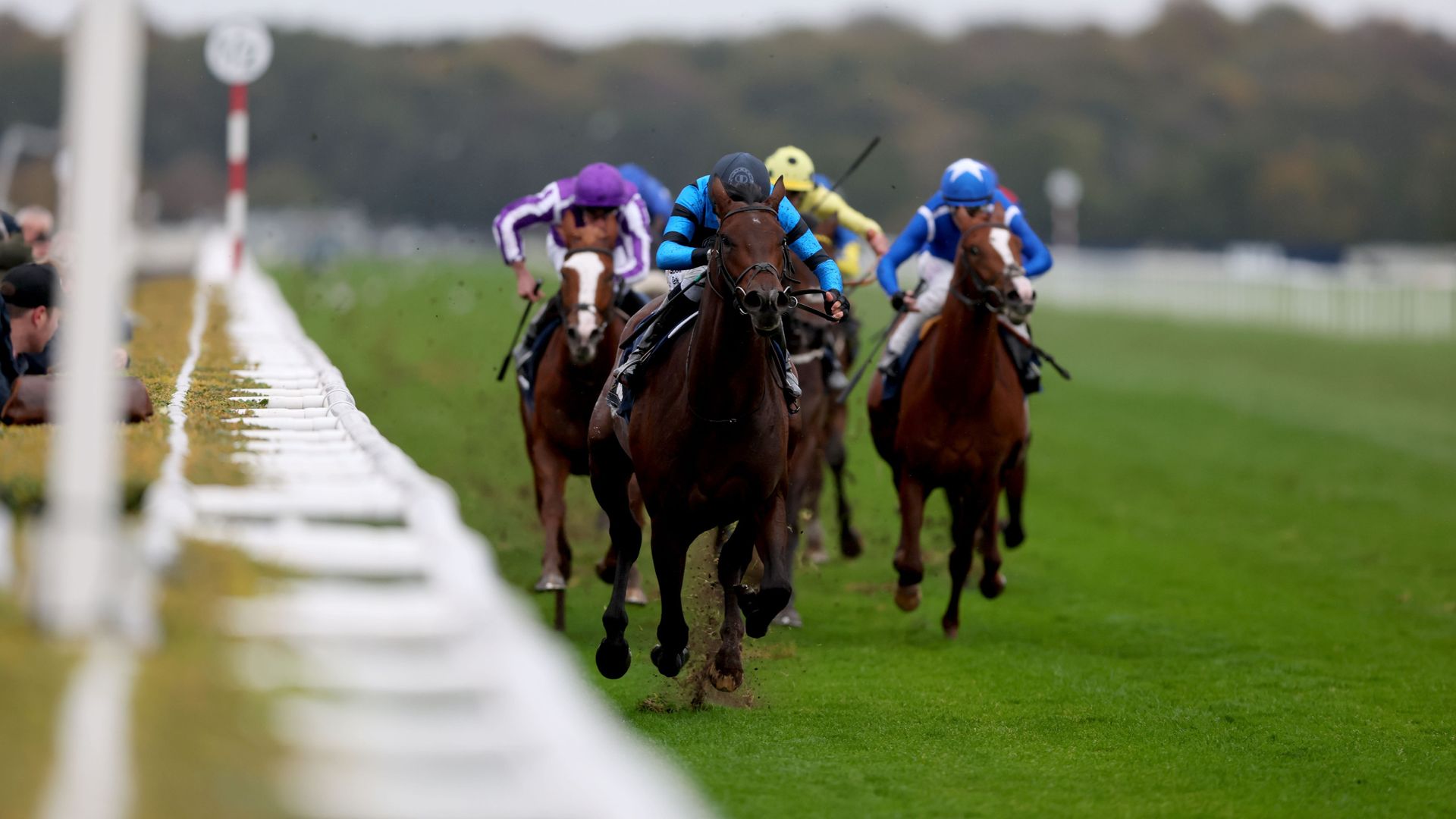 Giant Sequoia stakes Classic claims in Futurity