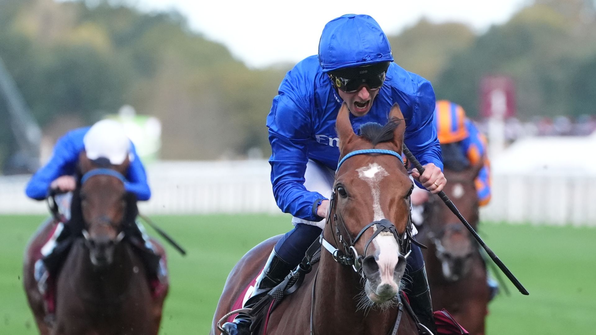 Ombudsman simply supreme in Champion Stakes